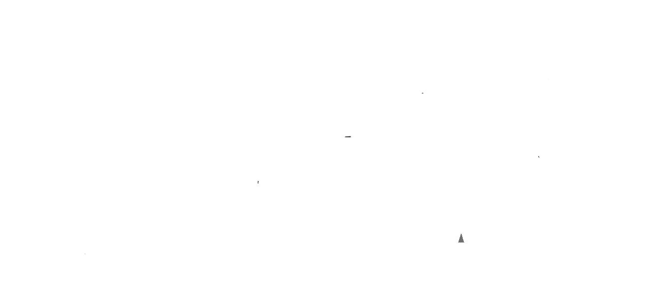 SCHMIEDEN 